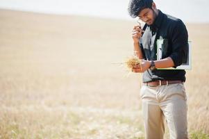 Zuid-Aziatische landbouwkundige boer inspecteert tarweveld boerderij. landbouwproductieconcept. foto