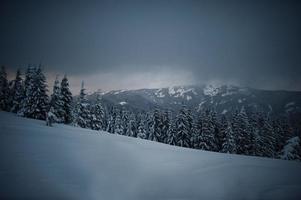 duisternis op berg chomiak. prachtige winterlandschappen van de karpaten, oekraïne. majestueuze vorst natuur. foto