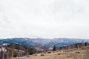 besneeuwde bergvalleien in de Karpaten. uitzicht op de oekraïense karpaten en yaremche vanaf de top van makovitsa. foto