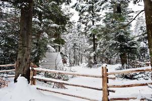 houten huis in dennenbos bedekt met sneeuw. prachtige winterlandschappen. vorst natuur. foto