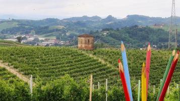 landschappen van wijngaarden in monta d'alba in de piemontese langhe, tijdens een mangialonga in juni 2022 foto