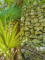 oude tulum ruïnes Maya site tempel piramides artefacten zeegezicht mexico. foto