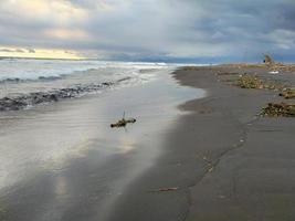 strand de zon is ondergegaan oceaan ontspanning foto