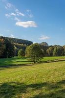 schilderachtig zomerlandschap met groene velden foto