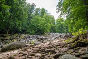 rotsen in een bos in duitsland foto