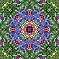 kleurrijk mandala bloemenpatroon boho symmetrisch 267 foto