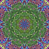 kleurrijk mandala bloemenpatroon boho symmetrisch 315 foto