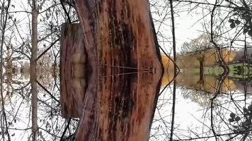 houten bruine structuur in een park foto