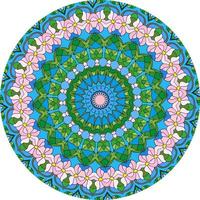 veelkleurige mandala achtergrond. kleurboek pagina. ongebruikelijke bloemvorm. oosterse vector, anti-stress therapie patronen. geweven ontwerpelementen foto