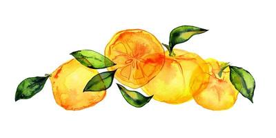 citroenen en olijven aquarel boeket foto
