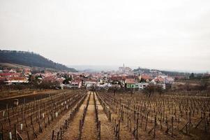 velden met wijngaarden in het vroege voorjaar in mikulov, zuid-moravië, tsjechië. foto