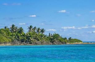 prachtig tropisch natuurlijk strand en bospanorama contoy eiland mexico. foto