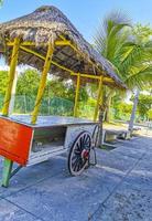 berijdbare tropische sapwinkel op wielen playa del carmen mexico foto