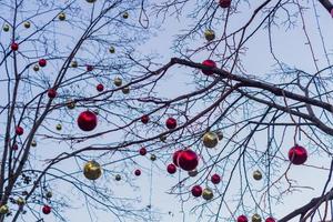 Kerstmis en Nieuwjaar vakantie achtergrond. boom zonder bladeren versierd met rode en gouden ballen foto