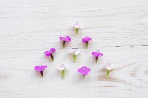chamaenerion bloemen op witte houten achtergrond foto