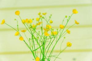 mooie gele wilde boterbloem bloemen op houten muur achtergrond. natuur achtergrond. foto