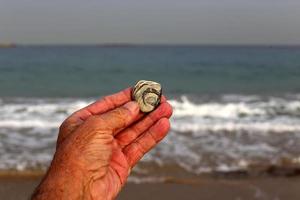 Nahariya Israël 5 juni 2019. stenen en schelpen aan de oevers van de Middellandse Zee. foto