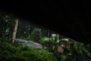 regen en bladeren, water druppels Aan regenachtig dag foto