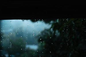 regen en bladeren, water druppels Aan regenachtig dag foto
