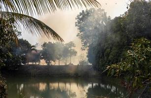 een visie van de enorm wolken van rook net zo de rietje brandend in de rijst- velden drijft over- de bomen. foto