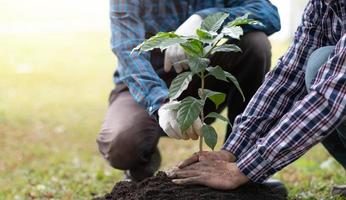 jong Mens tuinman, aanplant boom in tuin, tuinieren en gieter planten. foto