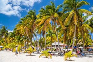 wit zand strand met cocos handpalmen, isla mujeres eiland, caraïben zee, cancun, Yucatán, Mexico foto