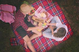 bovenaanzicht van paar genieten van picknicktijd foto