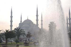kalkoen istambul moskee foto