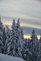 winter berglandschap foto