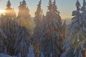 winter berglandschap foto