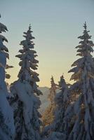 winter berglandschap foto