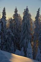 winter berglandschap foto