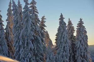 winter berglandschap foto