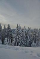 winter berglandschap foto