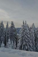 winter berglandschap foto