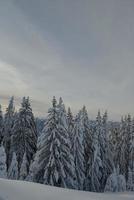 winter berglandschap foto
