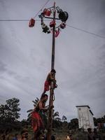 de opwinding van kinderen en volwassenen nemen een deel in de areca beklimming wedstrijd naar verlevendigen de onafhankelijkheid dag van de republiek van Indonesië, oosten- kalimantaan, Indonesië, augustus, 14,2022 foto