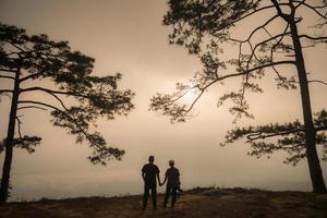 de silhouet van pijnboom boom en paar Aan phu kradueng nationaal park van loei provincie van Thailand. foto