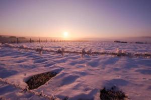 prikkeldraad hek in de winter foto