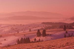 winterlandschap schilderachtig met eenzame boom foto