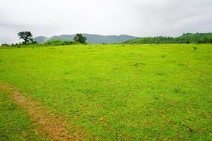 greenary berg vallei van durfbadi in odisha foto