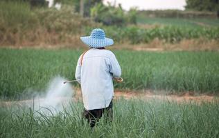 boer sproeien pesticide foto