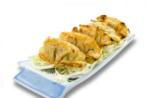 gebakken knoedels of gyoza geïsoleerd Aan wit achtergrond, knipsel pad,geselecteerd focus foto