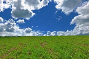 gras en lucht natuur backgrond foto