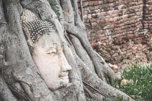 Boeddha hoofd standbeeld gevangen in bodhi boom wortels foto