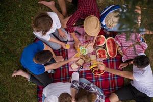 bovenaanzicht van groepsvrienden die genieten van picknicktijd foto
