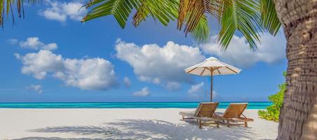 tropisch strand natuur als zomerlandschap met ligstoelen en palmbomen en kalme zee voor strandbanner. luxe reislandschap, mooie bestemming voor vakantie of vakantie. strandscène foto