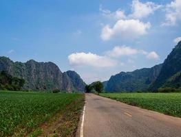 lang weg dat reizen door divers dorp in landelijk Thailand voorbijgaan door Woud weiden en berg Aan Doorzichtig dag blauw lucht wit wolk in zomer geschikt het rijden foto