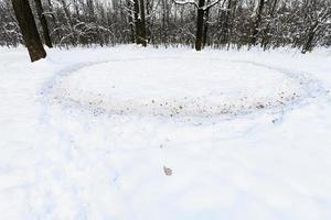 cirkel pad vertrapt in sneeuw Aan weide in eik bosje foto