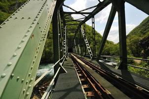 brug rivier wild foto